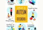 Autism or Autism Spectrum Disorder (ASD)