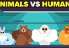 HUMANS VERSUS ANIMALS 