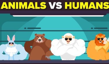 HUMANS VERSUS ANIMALS 